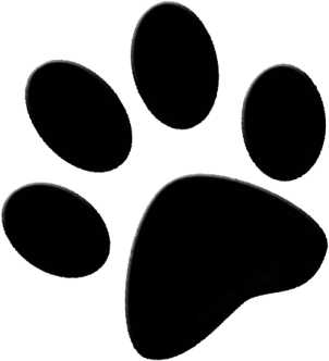 icon - /uploads/s/t/z/p/tzpjfy1qa9zj/img/full_3TjckkMP.png