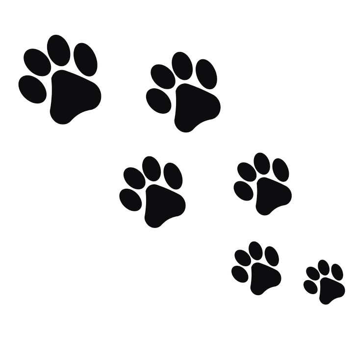 icon - /uploads/s/t/z/p/tzpjfy1qa9zj/img/full_KF96KoQi.png